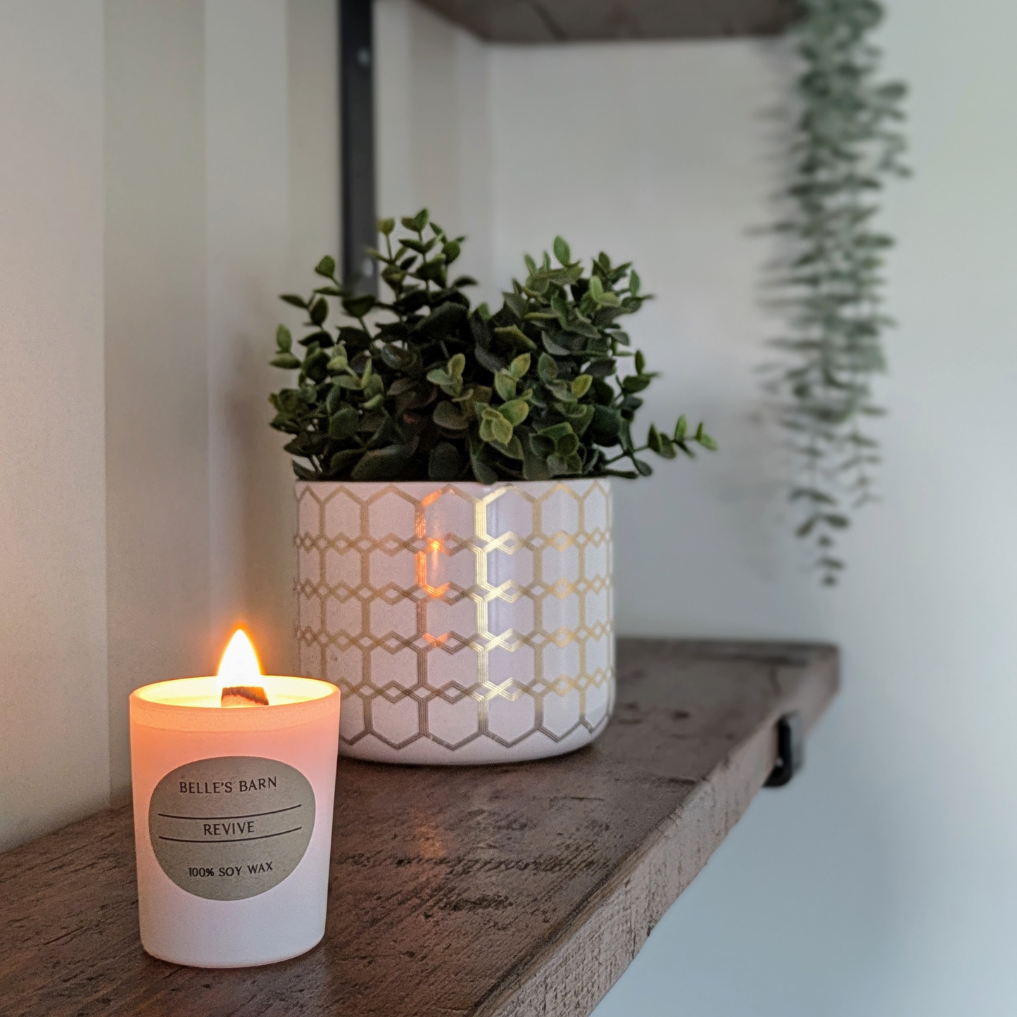 Scent Discovery Box