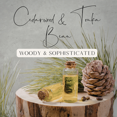 Cedarwood & Tonka Bean