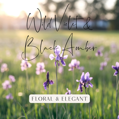 Wild Violet & Black Amber