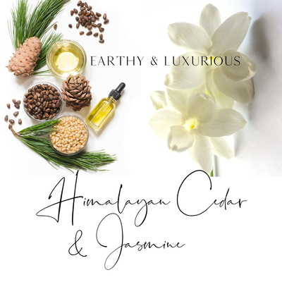 Himalayan Cedar & Jasmine